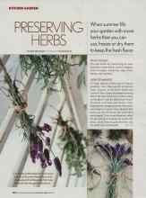 Better Homes & Gardens August 2006 Magazine Article: PRESERVING HERBS