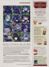 Better Homes & Gardens August 2006 Magazine Article: REBLOOMING BLUE IRIS