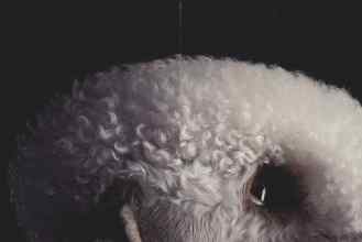 Better Homes & Gardens August 2006 Magazine Article: Page 12