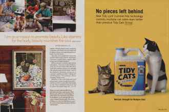 Better Homes & Gardens August 2006 Magazine Article: Page 38