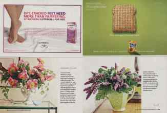 Better Homes & Gardens August 2006 Magazine Article: Page 102