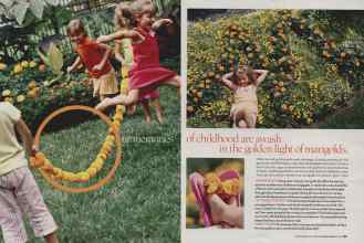 Better Homes & Gardens August 2006 Magazine Article: Page 168