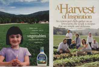 Better Homes & Gardens August 2006 Magazine Article: Page 184