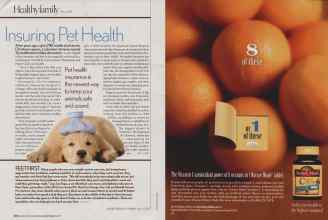 Better Homes & Gardens August 2006 Magazine Article: Page 236