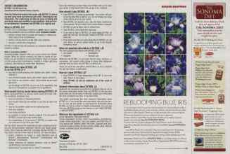 Better Homes & Gardens August 2006 Magazine Article: Page 240