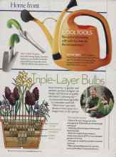 Better Homes & Gardens September 2006 Magazine Article: Triple-Layer Bulbs