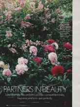 Better Homes & Gardens September 2006 Magazine Article: PARTNERS IN BEAUTY