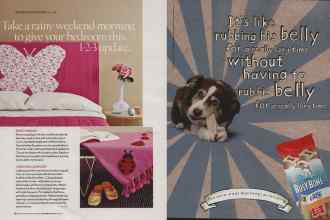 Better Homes & Gardens September 2006 Magazine Article: Page 26