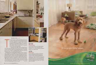 Better Homes & Gardens September 2006 Magazine Article: Page 62
