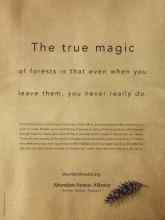 Better Homes & Gardens October 2006 Magazine Article: Page 1