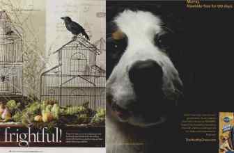 Better Homes & Gardens October 2006 Magazine Article: Page 30