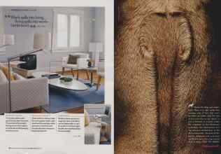 Better Homes & Gardens October 2006 Magazine Article: Page 84