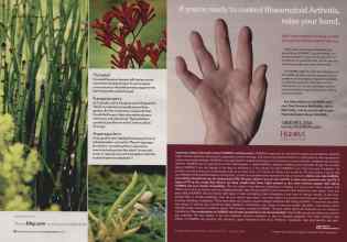 Better Homes & Gardens October 2006 Magazine Article: Page 128