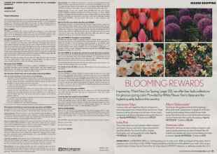 Better Homes & Gardens October 2006 Magazine Article: Page 130