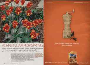 Better Homes & Gardens October 2006 Magazine Article: Page 132