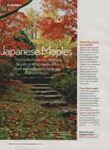 Better Homes & Gardens November 2006 Magazine Article: Japanese Maples