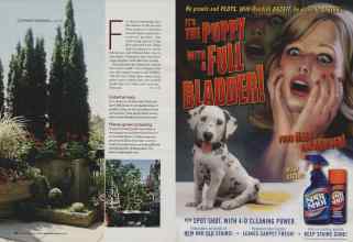 Better Homes & Gardens November 2006 Magazine Article: Page 134