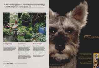 Better Homes & Gardens November 2006 Magazine Article: Page 138