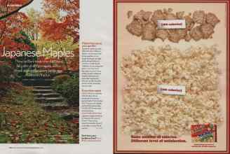 Better Homes & Gardens November 2006 Magazine Article: Page 140