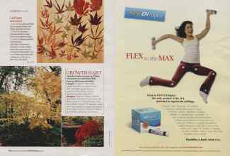 Better Homes & Gardens November 2006 Magazine Article: Page 142