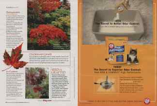 Better Homes & Gardens November 2006 Magazine Article: Page 144