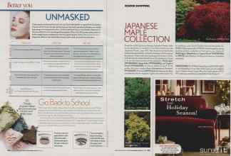 Better Homes & Gardens November 2006 Magazine Article: Page 168