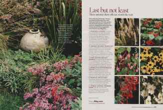 Better Homes & Gardens November 2006 Magazine Article: Page 202