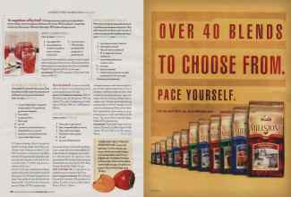 Better Homes & Gardens November 2006 Magazine Article: Page 224