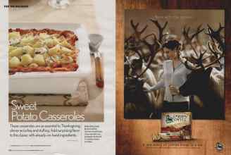 Better Homes & Gardens November 2006 Magazine Article: Page 250