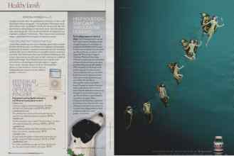 Better Homes & Gardens November 2006 Magazine Article: Page 276