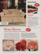 Better Homes & Gardens December 2006 Magazine Article: Winter Blooms