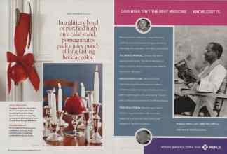 Better Homes & Gardens December 2006 Magazine Article: Page 42