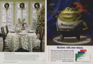 Better Homes & Gardens December 2006 Magazine Article: Page 110