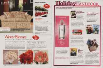 Better Homes & Gardens December 2006 Magazine Article: Page 138