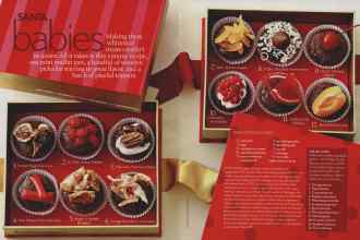 Better Homes & Gardens December 2006 Magazine Article: Page 176