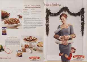 Better Homes & Gardens December 2006 Magazine Article: Page 204