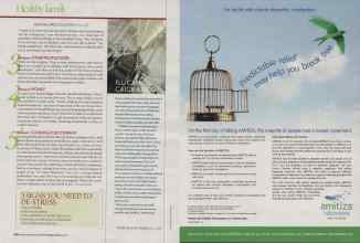 Better Homes & Gardens December 2006 Magazine Article: Page 236