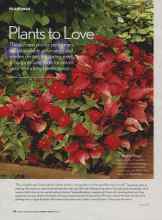Better Homes & Gardens January 2007 Magazine Article: Plants to Love
