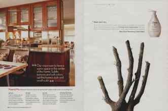 Better Homes & Gardens January 2007 Magazine Article: Page 36