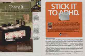 Better Homes & Gardens January 2007 Magazine Article: Page 42