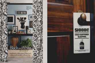 Better Homes & Gardens January 2007 Magazine Article: Page 46