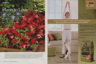 Better Homes & Gardens January 2007 Magazine Article: Page 60