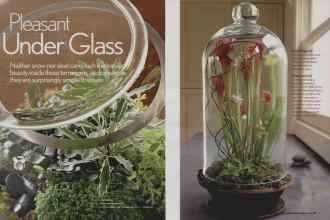 Better Homes & Gardens from 2007 | Pleasant Under Glass