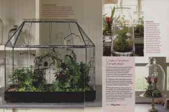 Better Homes & Gardens January 2007 Magazine Article: Page 88