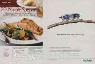 Better Homes & Gardens January 2007 Magazine Article: Page 106