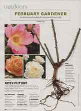 Better Homes & Gardens February 2007 Magazine Article: PLANTING ROSY FUTURE