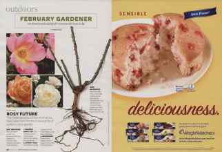 Better Homes & Gardens February 2007 Magazine Article: Page 98