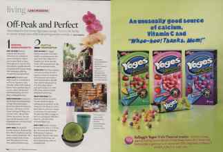 Better Homes & Gardens February 2007 Magazine Article: Page 124