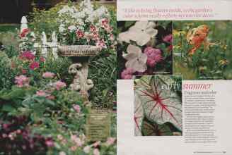 Better Homes & Gardens February 2007 Magazine Article: Page 156
