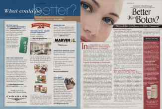 Better Homes & Gardens February 2007 Magazine Article: Page 220